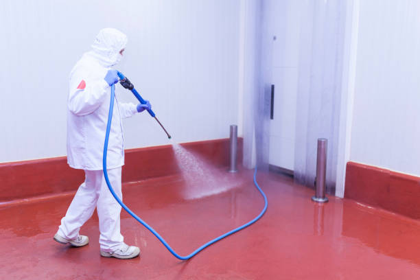 Best Warehouse Cleaning  in Winthrop, MN