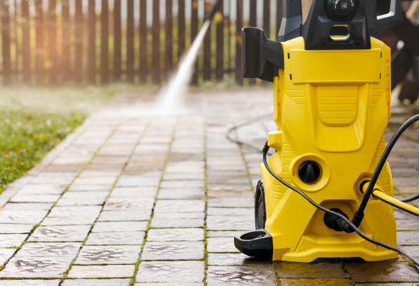 Best House Exterior Washing  in Winthrop, MN
